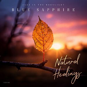 Premade album Cover Apricot - ID 11876